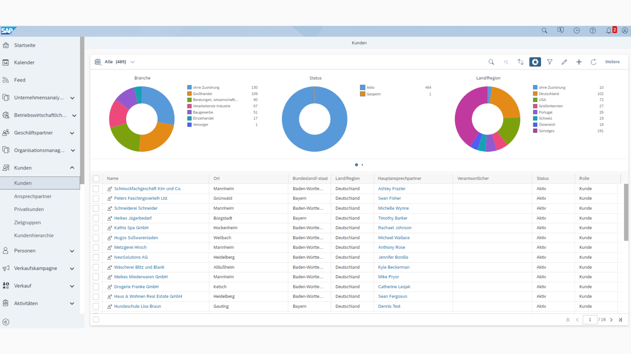 SAP Sales Cloud Screenshot