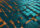 Whitepaper Zukunftsfähige IT-Organisation in Versicherungen