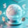 Cash Application Convista
